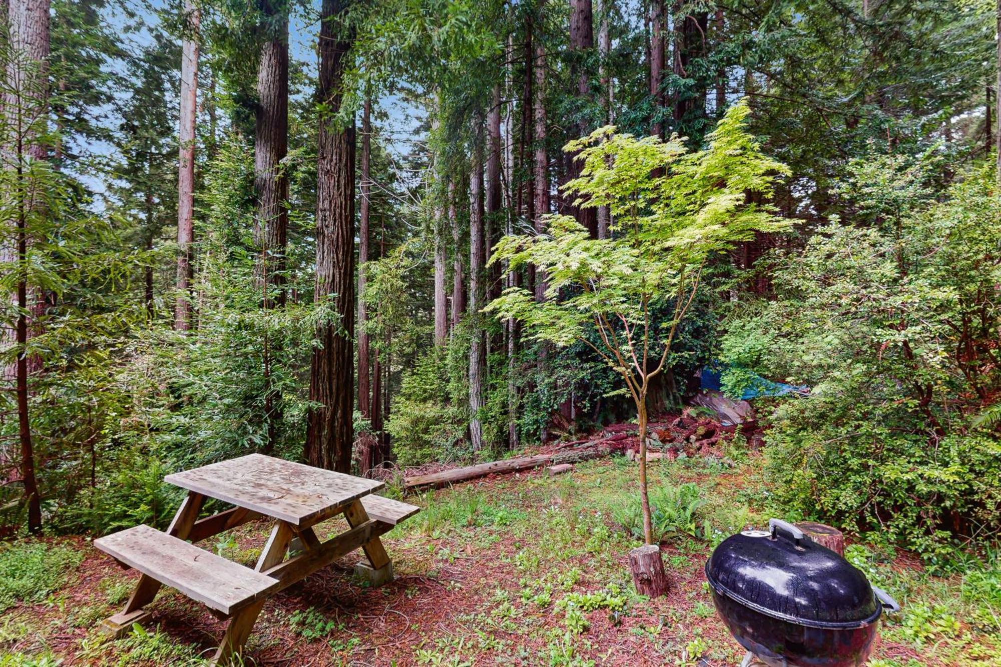Serene Redwood Retreat Arcata Exteriér fotografie