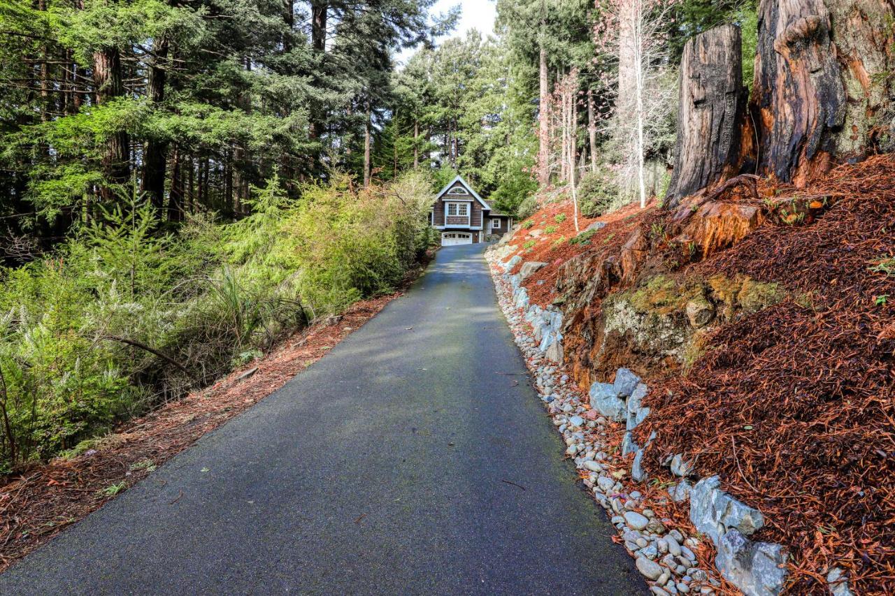 Serene Redwood Retreat Arcata Exteriér fotografie